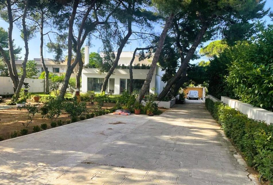 Apartamento Casa Morgana Giovinazzo Exterior foto